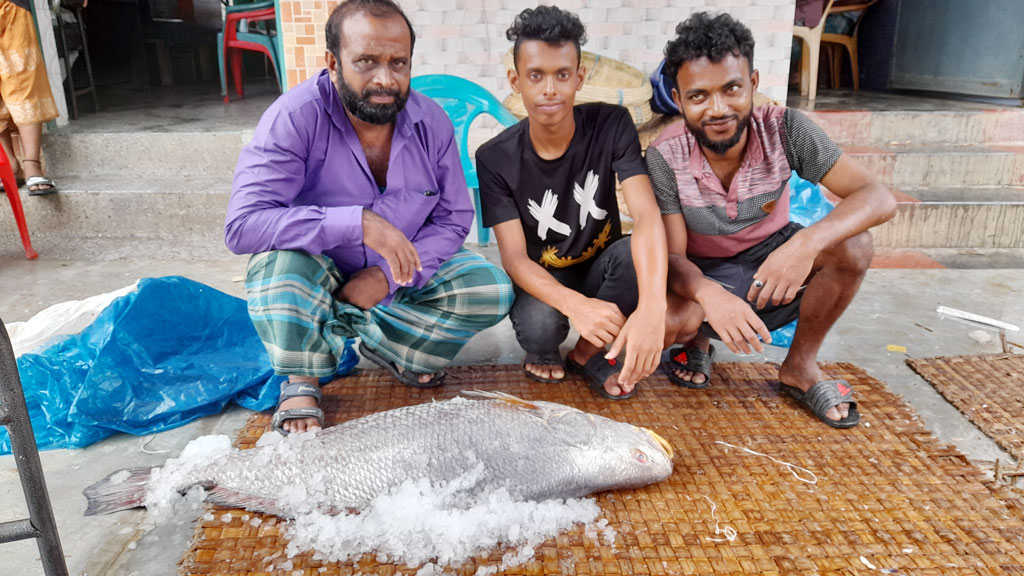 সাড়ে ১৯ কেজি ওজনের ভোল মাছ, প্রায় ২ লাখ টাকায় বিক্রি