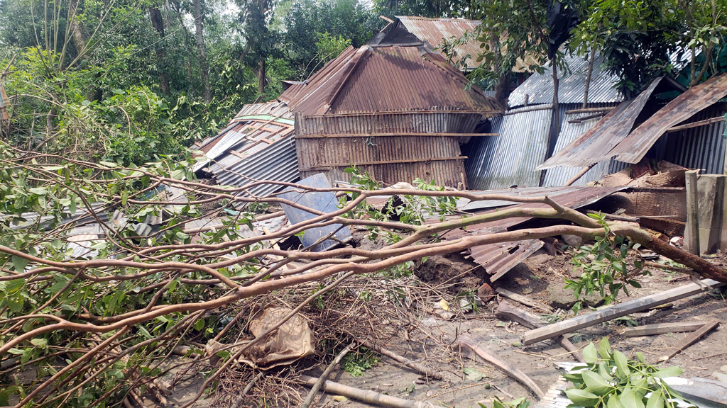 কসবায় ঝড়ে লন্ডভন্ড অর্ধশতাধিক বাড়িঘর