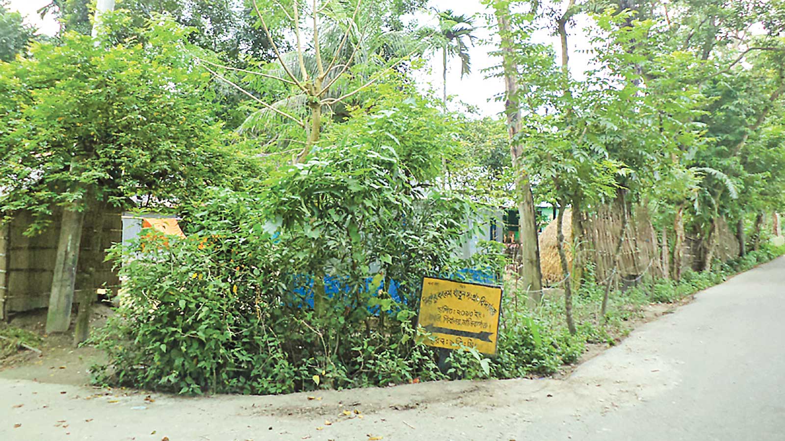 ছায়াঢাকা পাখি ডাকা গ্রাম