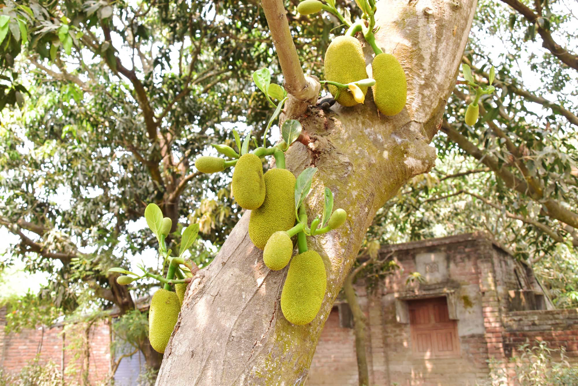 দিনের ছবি (২০ মার্চ, ২০২৩)