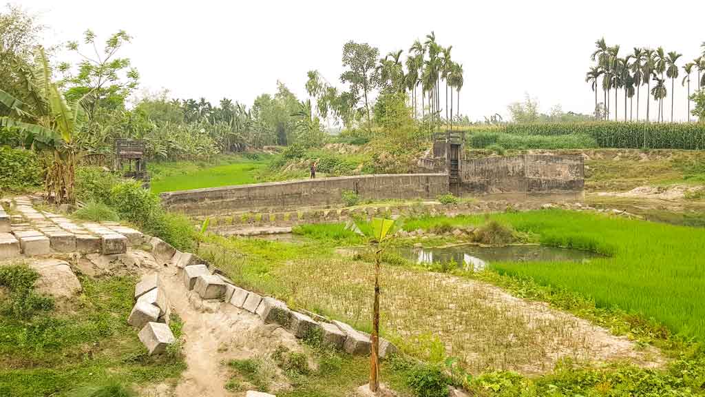 নীলফামারীর ডিমলা: খননে আরও ভয়ংকর নাউতারা