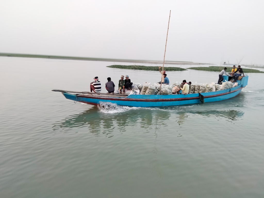 . রসনা বিলাসী বাঙালির পাতে সালাদ হিসেবে অপরিহার্য শীতকালীন সবজি নাম ক্ষীরা। এবার কিশোরগঞ্জের বিভিন্ন হাওরে ব্যাপক হারে ক্ষীরার আবাদ করা হয়েছে। সেসব ক্ষীরা নৌকায় করে বিক্রির জন্য শহরে নিয়ে যাচ্ছেন চাষিরা। অষ্টগ্রাম, কিশোরগঞ্জ, ০১ ফেব্রুয়ারি, ২০২৩। ছবি: মো. ফরিদ রায়হান