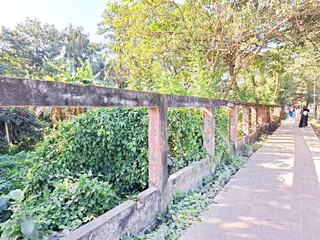 নরসুন্দার তীর থেকে ৪ শতাধিক গ্রিল উধাও