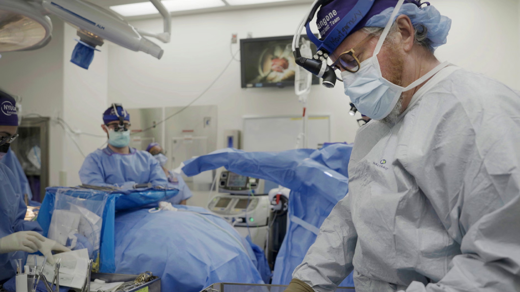 প্রতিস্থাপনে শূকরের অঙ্গ একদিন মানব অঙ্গের চেয়েও উন্নত হতে পারে: বিশেষজ্ঞ