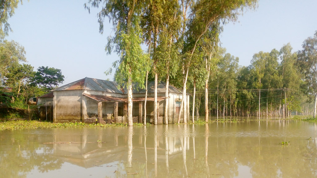 যমুনা নদীর পানি বাড়ায় ফসলহানির শঙ্কা কৃষকের