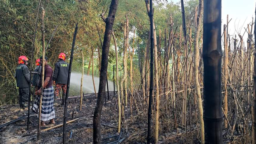 কুষ্টিয়ায় আগুনে পুড়ল ১১ চাষির পানের বরজ