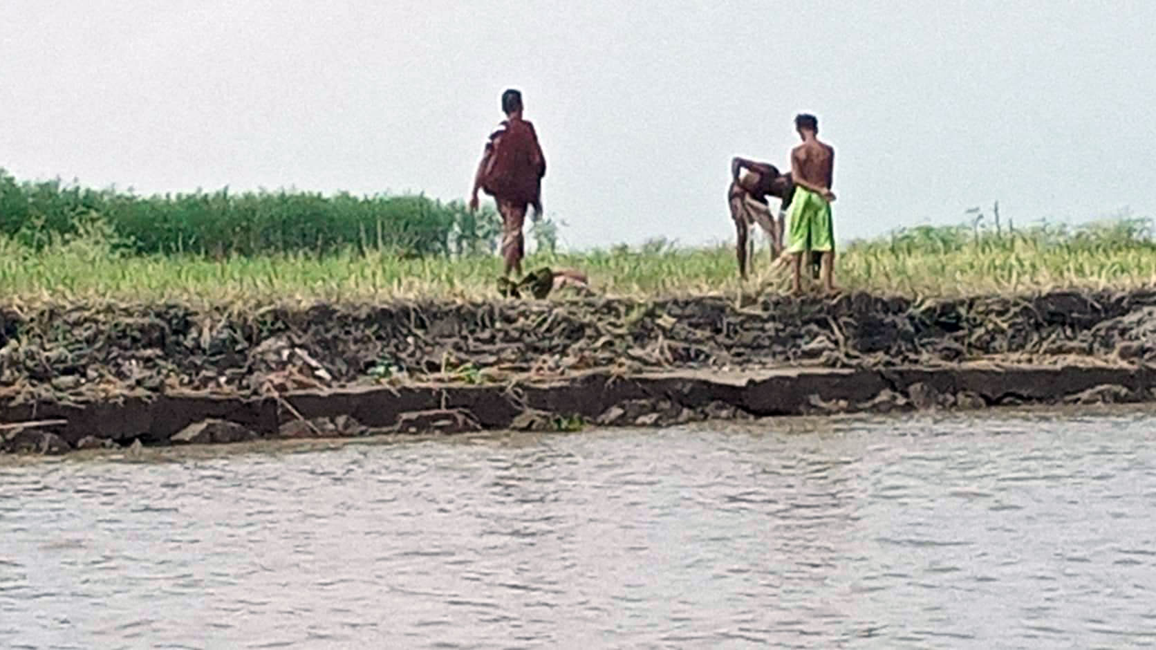 পদ্মার ভাঙন বেড়েছে শতাধিক বাড়ি নদীতে