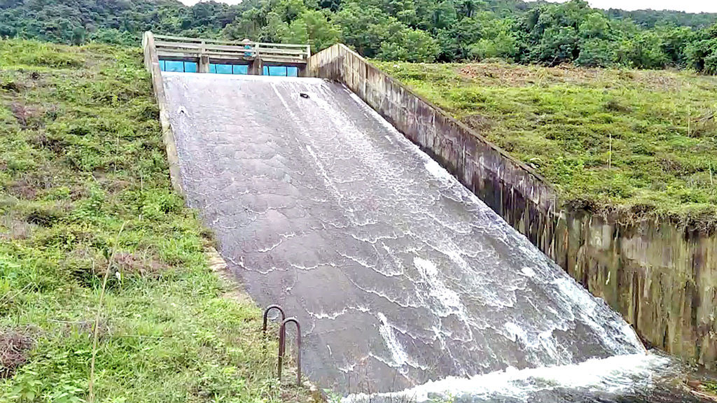 ১০০ হেক্টর জমিতে চাষ