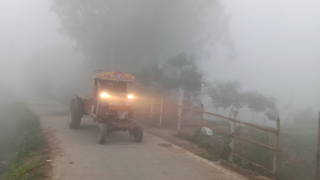 ঘন কুয়াশায় দৃষ্টিসীমা হয়ে পড়েছে সীমিত। তাই দিনের বেলায় লাইট জ্বালিয়ে চলতে হচ্ছে যানবাহনকে। ভাঙ্গুড়া-দেওভোগ সড়কের ভাঙ্গুড়া উপজেলার রসুলপুর এলাকা, পাবনা। ছবি: মো. মনিরুজ্জামান ফারুক।