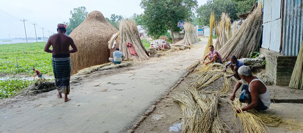 রাস্তার পাশে বসে জাক দেওয়া পাট থেকে পাটখড়ি ছাড়িয়ে নিচ্ছেন কয়েক জন ব্যক্তি। রায়পুরার চর মধুয়া ইউনিয়নের বেড়িবাঁধ থেকে তোলা, নরসিংদী, ৬ জুলাই ২০২৪। ছবি: হারুনূর রশিদ