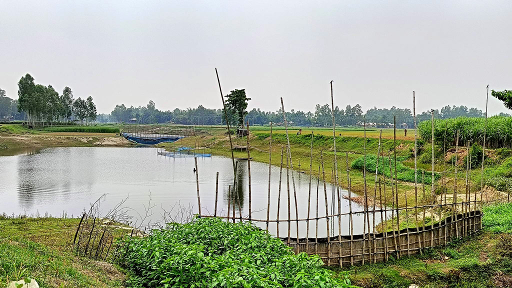 পাউবোর খালে বাঁধ দিয়ে বাণিজ্যিক মাছ চাষ প্রভাবশালীদের