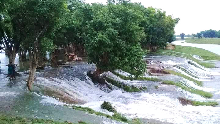 ৩০০ বিঘা জমির ধান প্লাবিত