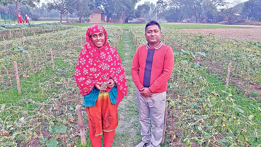 সেই গোলাপী পেলেন সহায়তা, পাবেন ঘরও