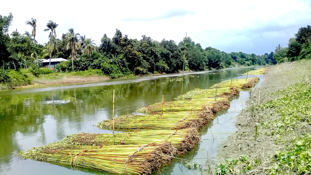 দূষণে মরছে অভয়াশ্রমের মাছ