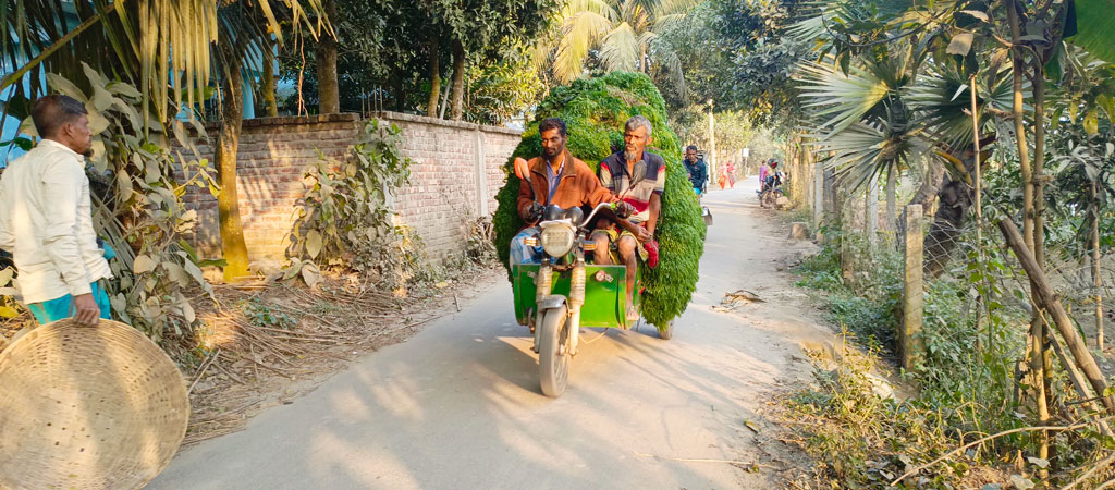 নরসিংদীর বিভিন্ন এলাকায় ধনে পাতার প্রচুর আবাদ হয়। খেত থেকে ধনে পাতা তুলে বাজারে বিক্রির জন্য অটোরিকশায় করে নিয়ে যাচ্ছেন চাষি। বেলাব উপজেলার নিলক্ষীয়া গ্রামের রাস্তা, নরসিংদী, ৪ ফেব্রুয়ারি ২০২৪। ছবি: হারুনূর রশিদ