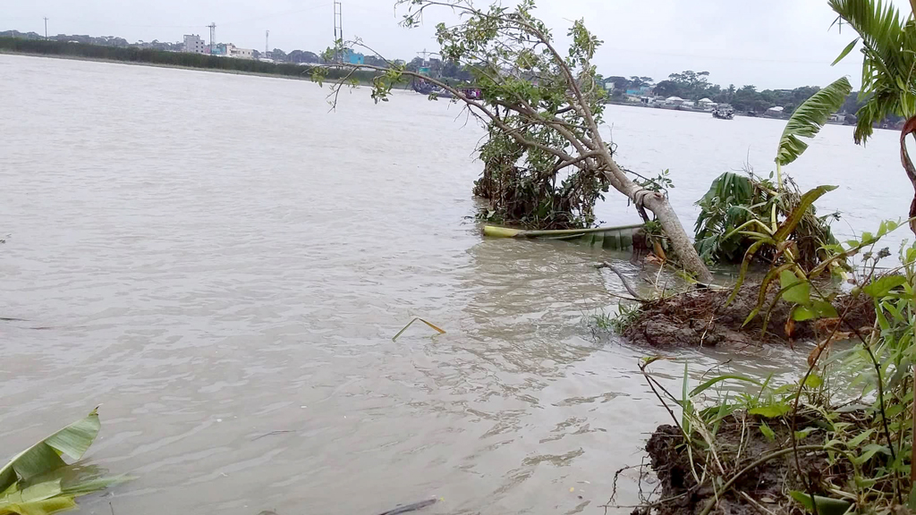 ভাঙন আতঙ্কে ঘর স্থানান্তর