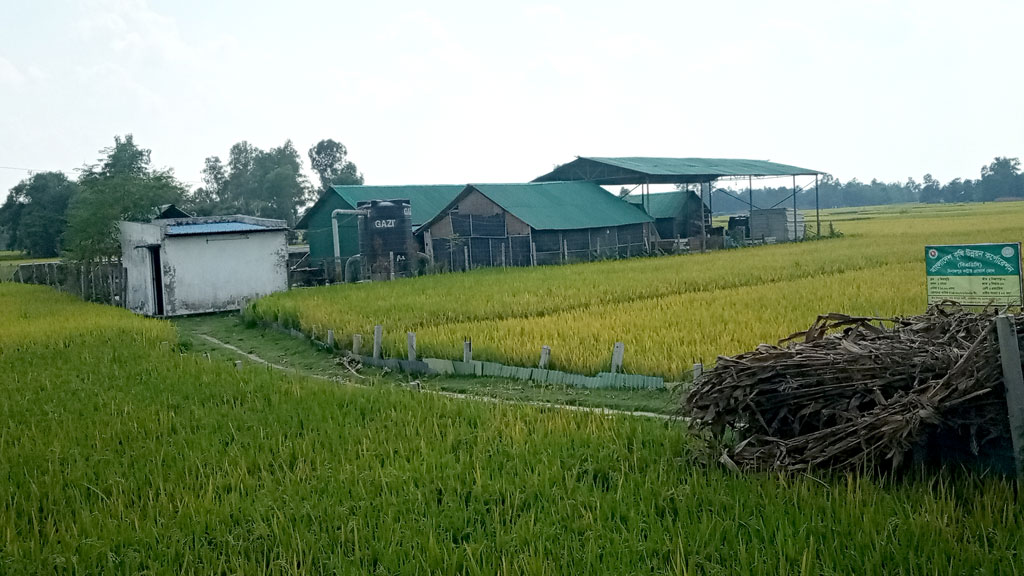 কর্মচারীদের বেতন দিচ্ছে না সেই সোলারগাঁও, উল্টো মামলা দিয়ে হয়রানির হুমকি