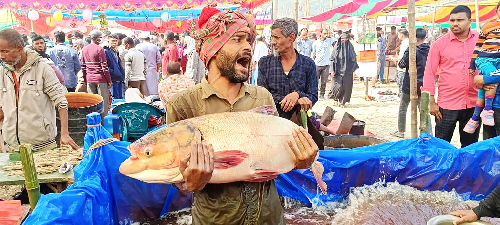 ক্রেতাদের আকর্ষণ বড় মাছ ও মিষ্টিতে