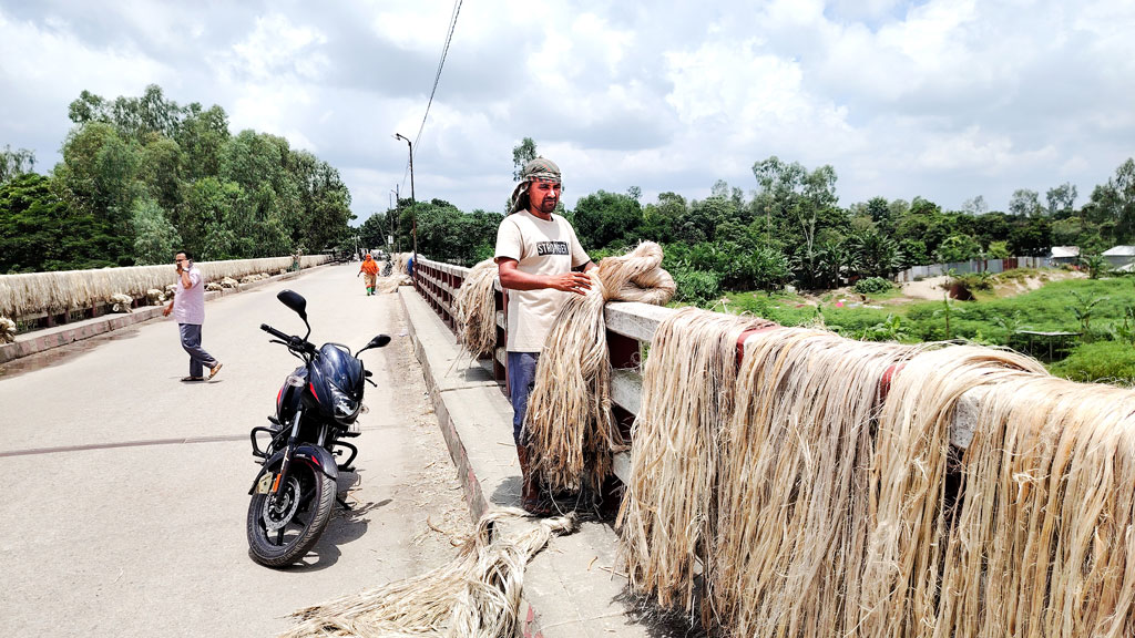 প্রণোদনার পরও কমছে চাষ