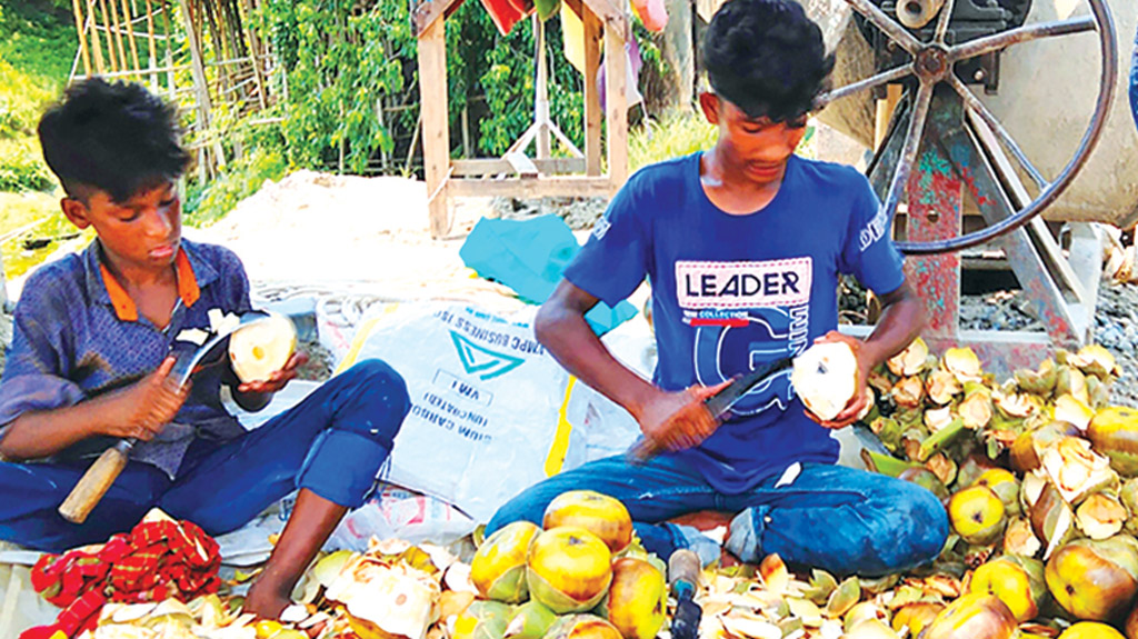 মানিকগঞ্জে দাম ও কদর বেড়েছে তালের শাঁসের