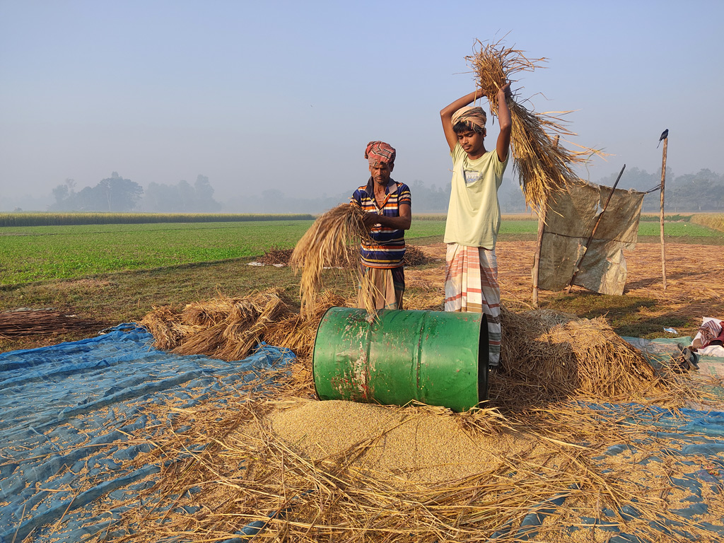 দিনের ছবি (৩০ নভেম্বর, ২০২২)