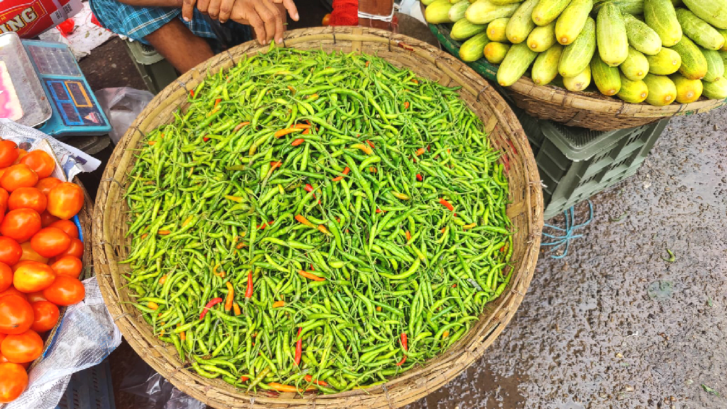 কাঁচা মরিচের ঝালে বাজার গরম, দাম ছুঁল ৫০০ টাকা