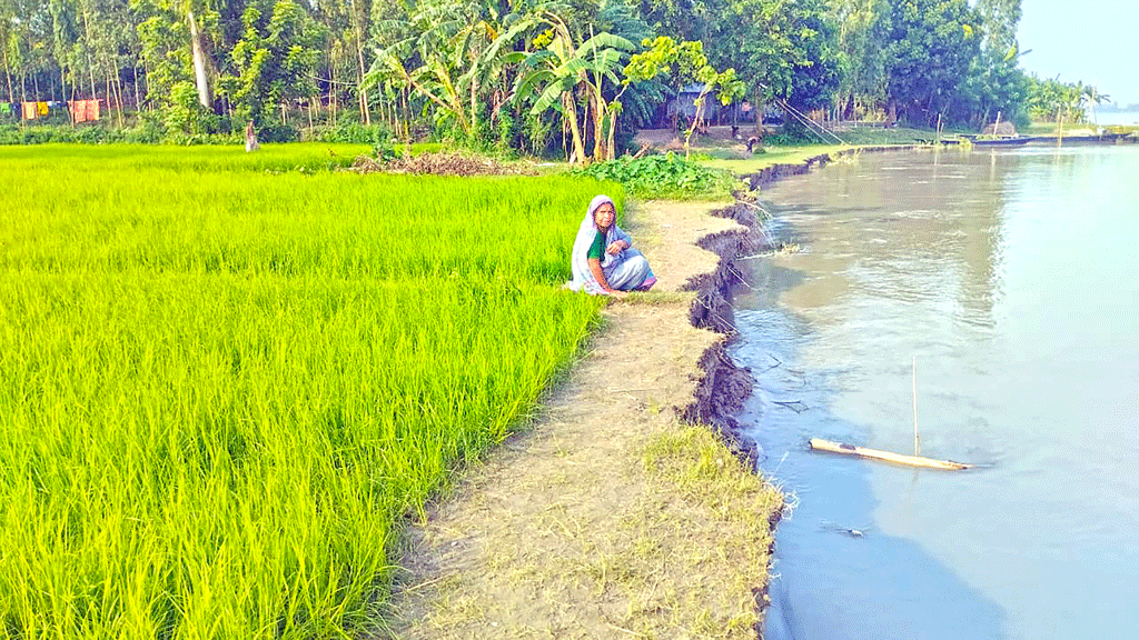 নদীতে ১ মাসে ৫০ বিঘা বিলীনের পথে রতনপুর