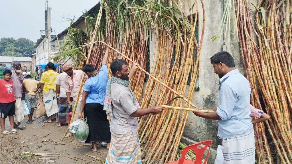 সপ্তাহের প্রতি রোববার হাট বসে। খুব ভোর থেকে শুরু হয় কেনাবেচা। সেই হাটে ক্রেতার কাছে আখ বিক্রি করছেন বিক্রেতা। চাটমোহর উপজেলার মূলগ্রাম ইউনিয়নের অমৃতাকুণ্ডা এলাকা, পাবনা, ১৩ অক্টোবর ২০২৪। ছবি: শুভাশীষ ভট্টাচার্য্য তুষার