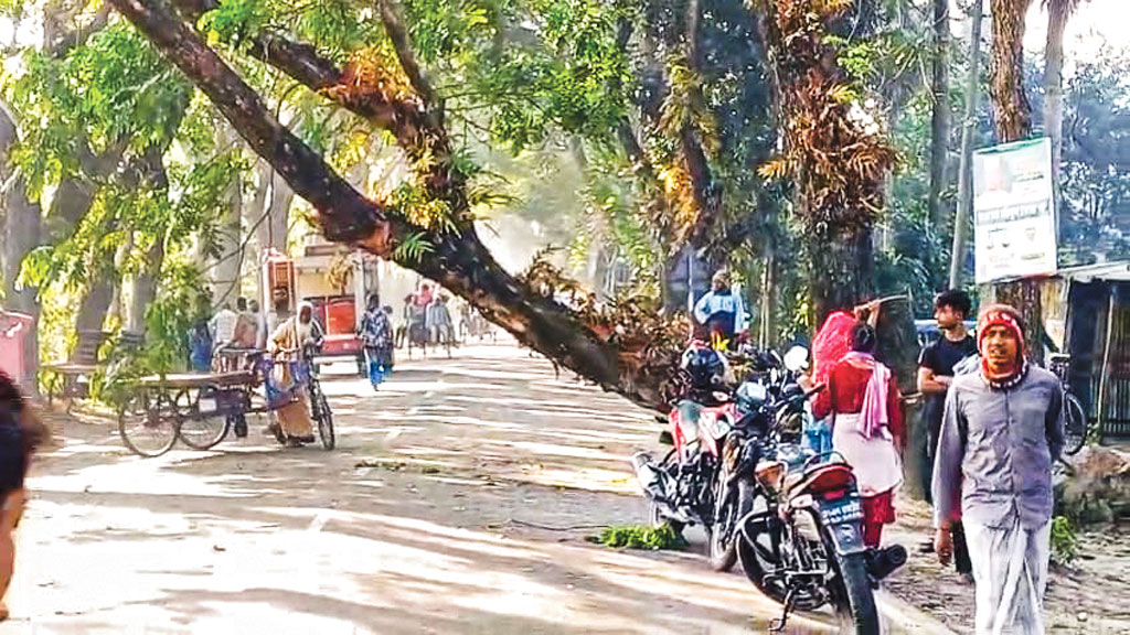 সারা দেশে নাশকতা: মহাসড়ক অবরোধ, বাস-ট্রাকে আগুন