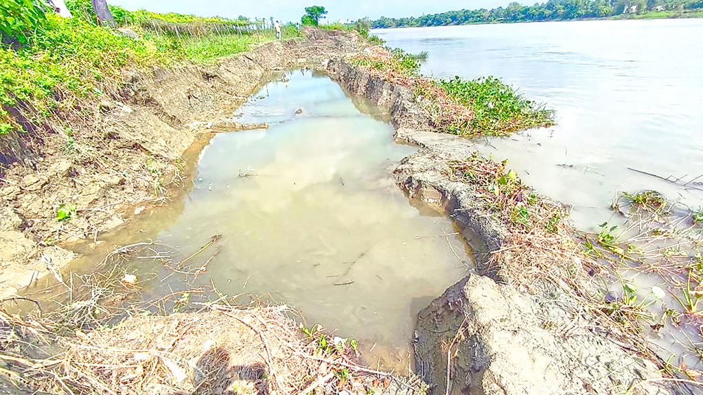 দুই নদের ২০ স্থানে মাটি লুট, ঝুঁকিতে ফসলি জমি