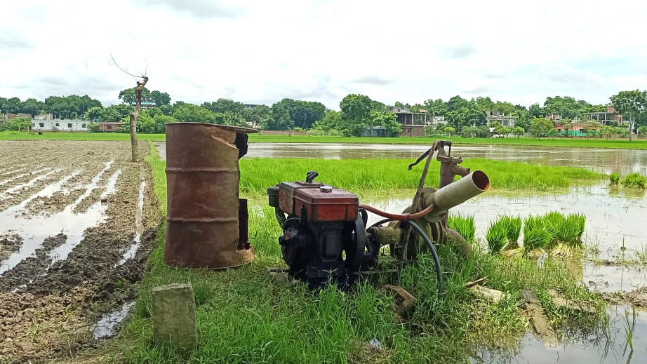 তেল-সারের দামে নাকাল চাষি