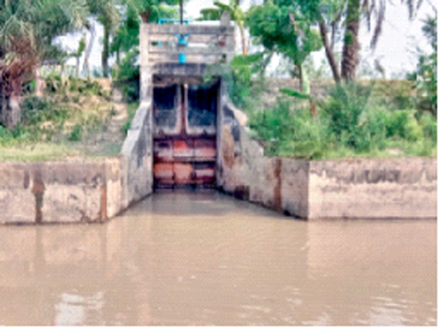 নোনাপানি তোলায় ৯ বিলের  মাছ ও ফসলের ক্ষতি