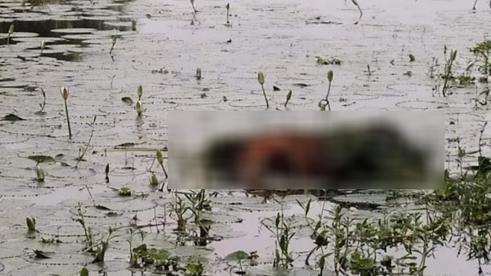 নিখোঁজের দুদিন পর কিশোরীর ভাসমান মরদেহ উদ্ধার
