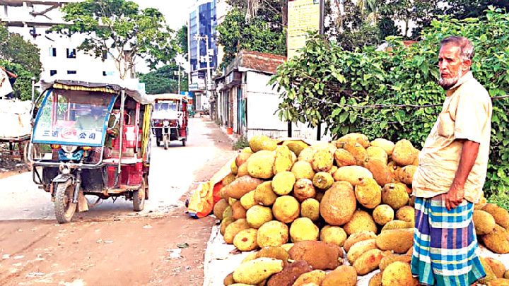 কাঁঠালের ক্রেতা নেই হাটে অপেক্ষায় হতাশ ব্যবসায়ীরা