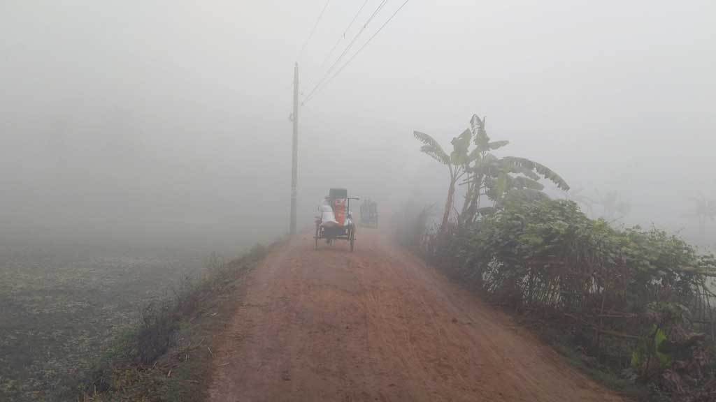 মধ্যরাত থেকে সকাল পর্যন্ত ঘন কুয়াশার চাদরে ঢেকে রয়েছে পথঘাট। প্রয়োজনীয় কাজ ছাড়া ঘর থেকে বেরোচ্ছেন না কেউ। বরগুনার পাটকেলঘাটার আমতলাডাঙ্গা এলাকা, ১০ জানুয়ারি ২০২৪। ছবি: মুজিবুর রহমান।