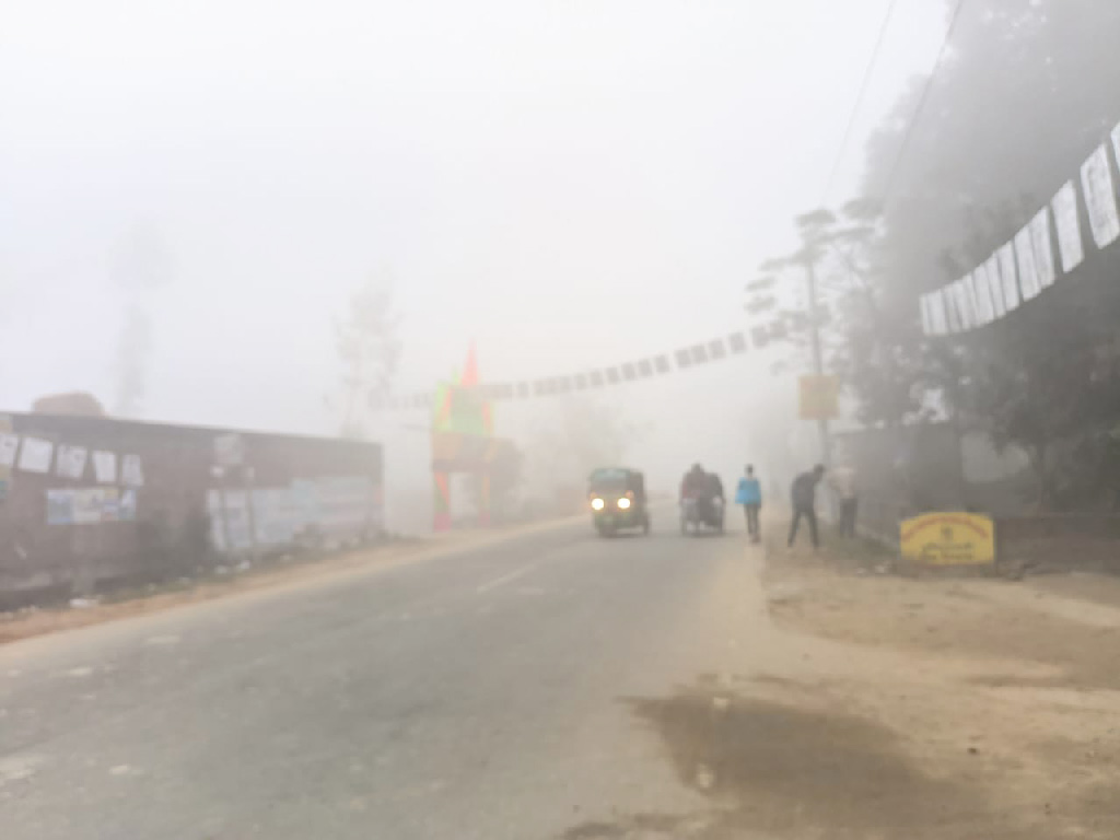 দিনের ছবি (১৫ ডিসেম্বর, ২০২২) 