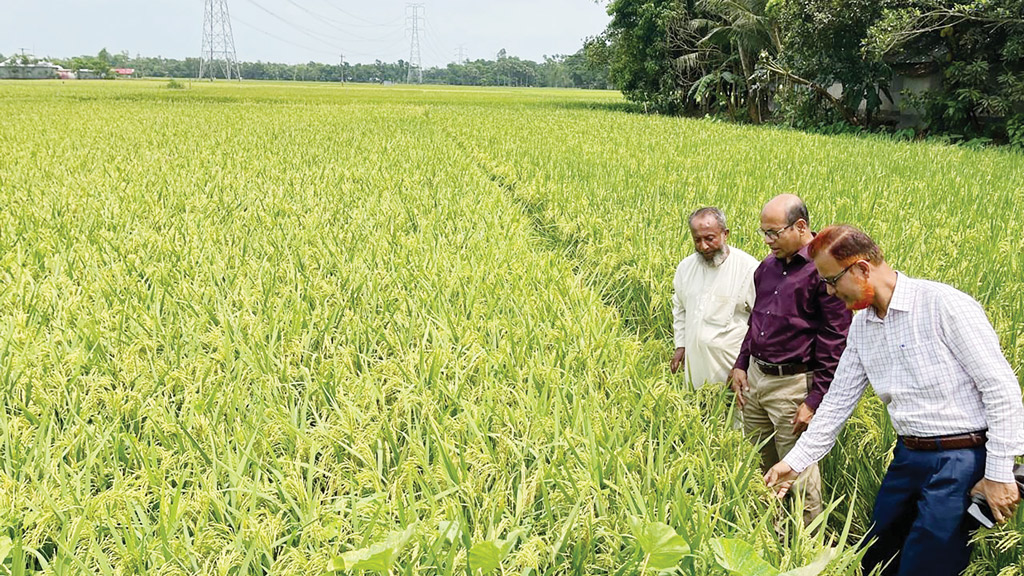 গুদামে দিতে অনাগ্রহী কৃষক