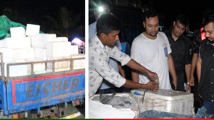 জেলি ঢোকানো ২ মেট্রিক টন চিংড়ি জব্দ, আড়াই লাখ টাকা জরিমানা