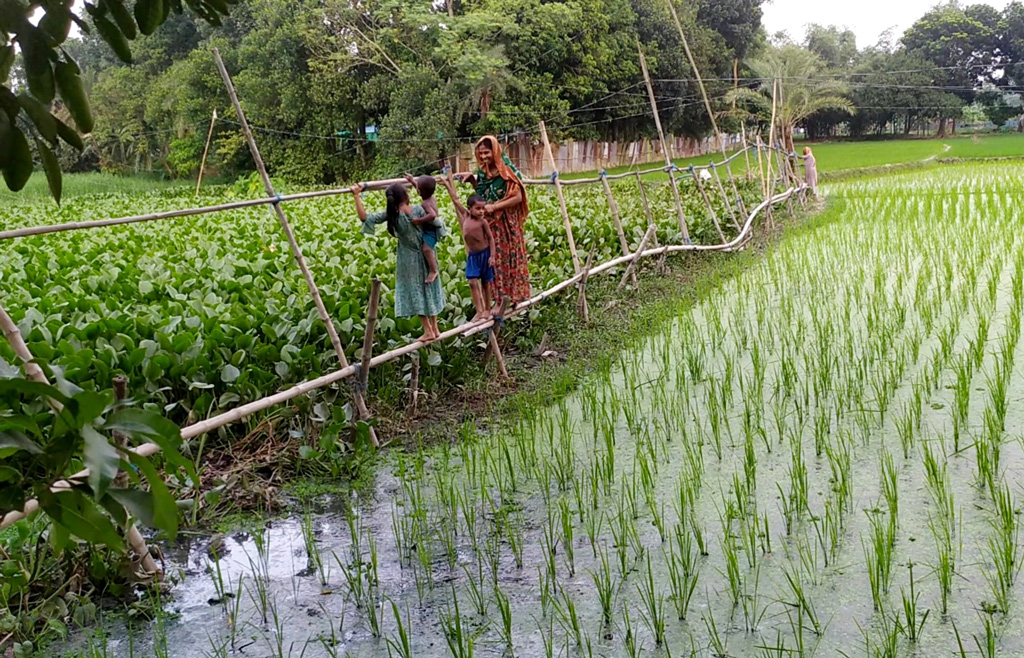 ফিশারিজে দুর্ভোগ, সাঁকোয় পার