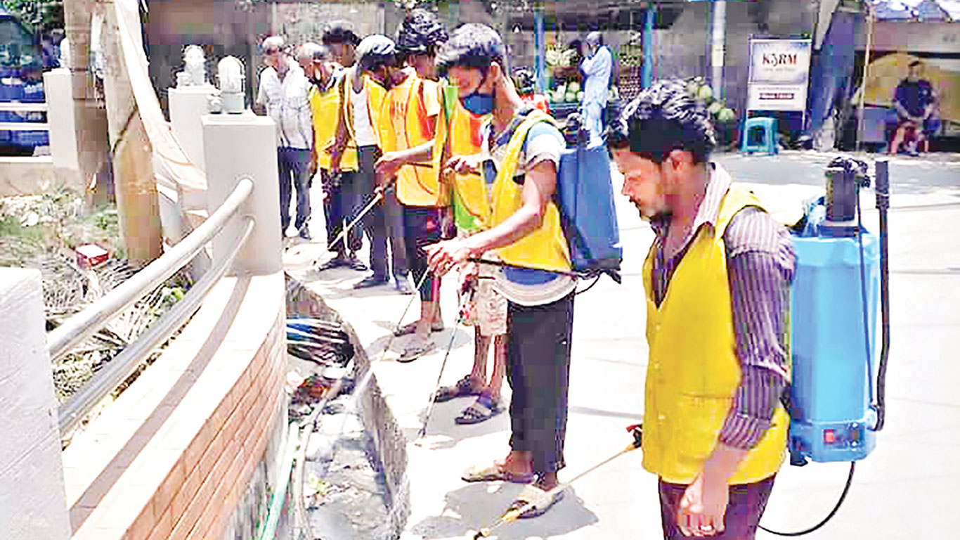 কালো তেলে ডেঙ্গু দমন