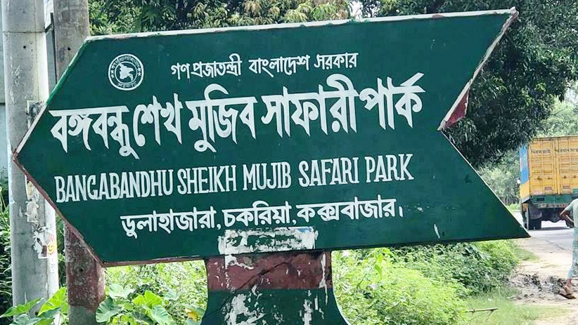 বঙ্গবন্ধু শেখ মুজিব সাফারি পার্কে সিংহের মৃত্যু