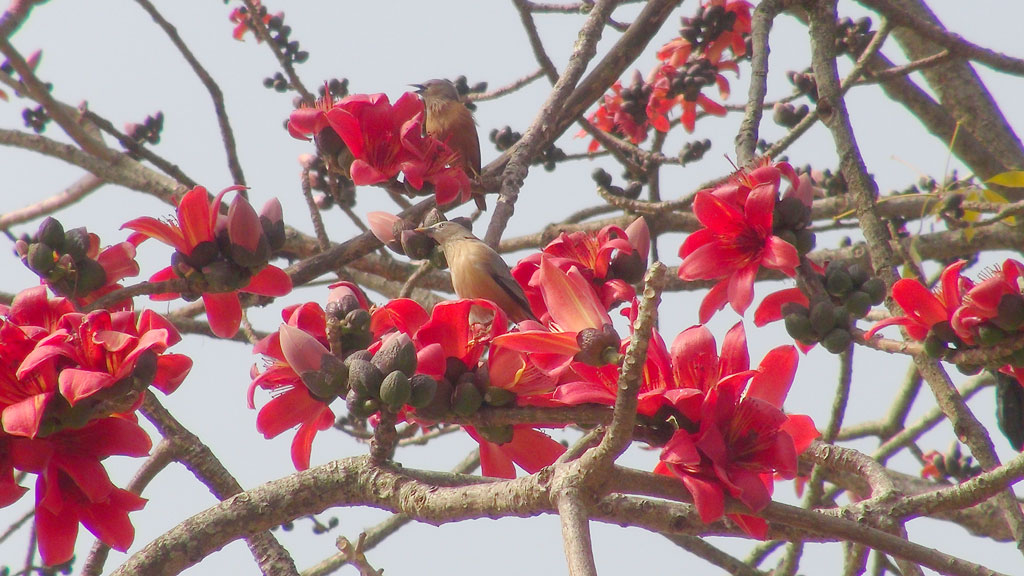 দিনের ছবি (০৮ ফেব্রুয়ারি, ২০২৩)
