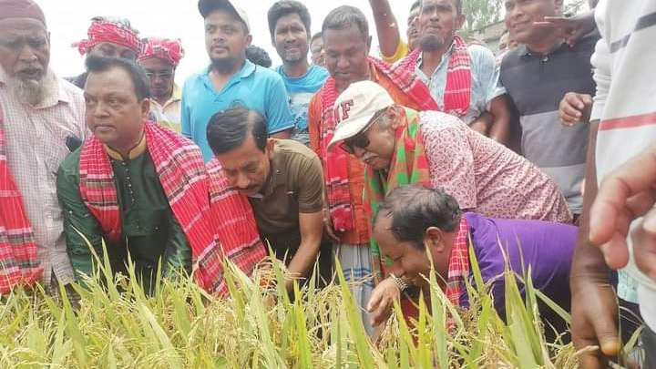 ধান কেটে উৎসবের উদ্বোধন শিল্পমন্ত্রীর