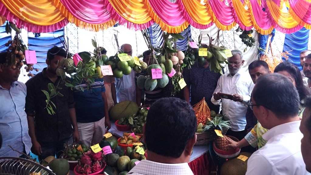 চুয়াডাঙ্গায় তিন দিনব্যাপী ফলমেলা শুরু, ফলের স্টল কেবল ৩টি