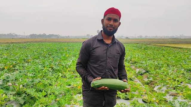 সবজি স্কোয়াশ চাষ করে সফল সবুজ হোসেন