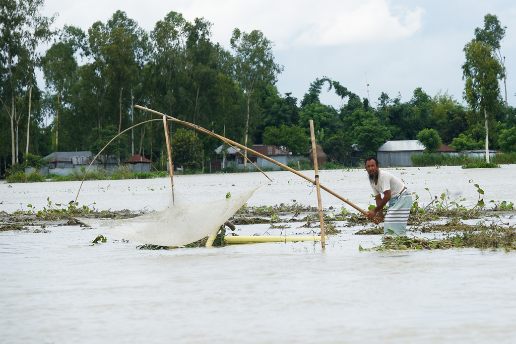 হঠাৎ তিস্তায় ঘোলা পানি আসায় ঝাঁকে ঝাঁকে ধরা পড়ছে বিভিন্ন জাতের মাছ। তাই চটকা জাল দিয়ে নদীর ধারে মাছ শিকার করছেন স্থানীয় এক ব্যক্তি। গঙ্গাচড়া উপজেলার লক্ষ্মীটারী ইউনিয়নের চর শংকরদাহ এলাকা, রংপুর, ৭ অক্টোবর ২০২৩। ছবি: আব্দুর রহিম পায়েল। 