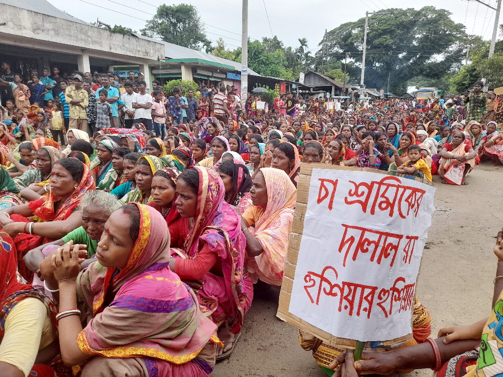 মজুরি বৃদ্ধির দাবিতে হবিগঞ্জে চা-শ্রমিকদের সড়ক অবরোধ