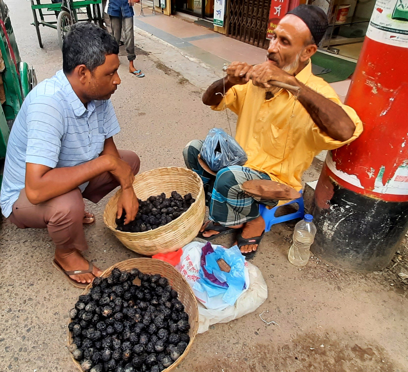 ভাটি বাংলার ফল শালুক