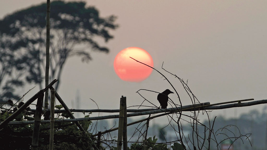 নতুন বছরের প্রত্যাশা: সমাজ হোক সর্বজনের অধিকারে শ্রদ্ধাশীল