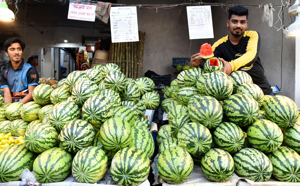 দিনের ছবি (৫ মার্চ, ২০২৪)